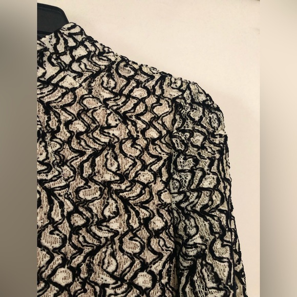 Emilia Wickstead Black and Ivory Flocked Lace Dress - Picture 8 of 16